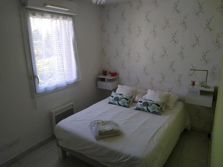 Magnifique Rooftop Duplex Climatise Familial, Aux Arceaux モンペリエ エクステリア 写真